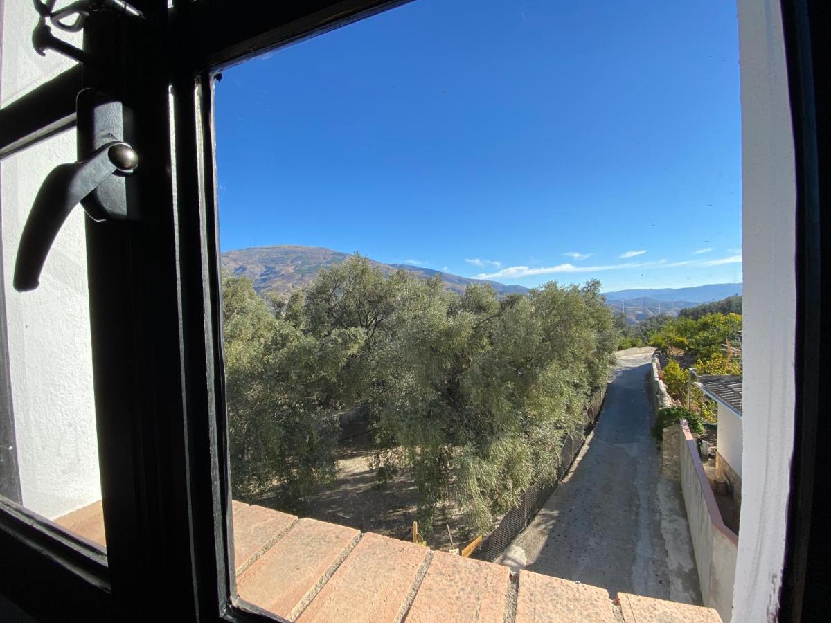 Casa Limon Bed & Breakfast Pinos del Valle Екстериор снимка