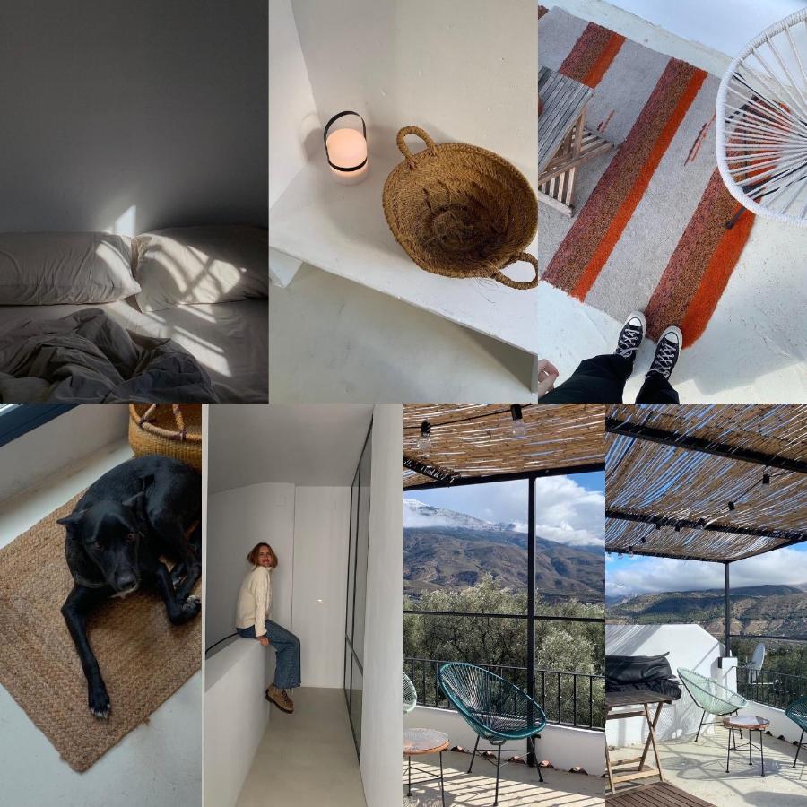 Casa Limon Bed & Breakfast Pinos del Valle Екстериор снимка